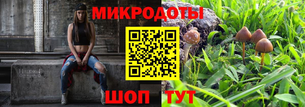 Псилоцибиновые грибы Cubensis Новоалтайск