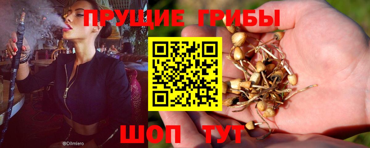 Новоалтайск  Псилоцибиновые грибы Cubensis  Галлюциногенные грибы мицелий  Вход с VPN 